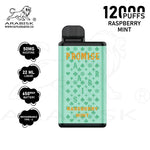 Load image into Gallery viewer, ARABISK PROMISE 12000 PUFFS 50MG  RECHARGEABLE - RASPBERRY MINT Arabisk Vape
